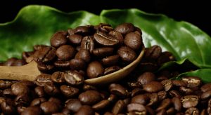 ¿Cómo puedo comprar los mejores granos de café?